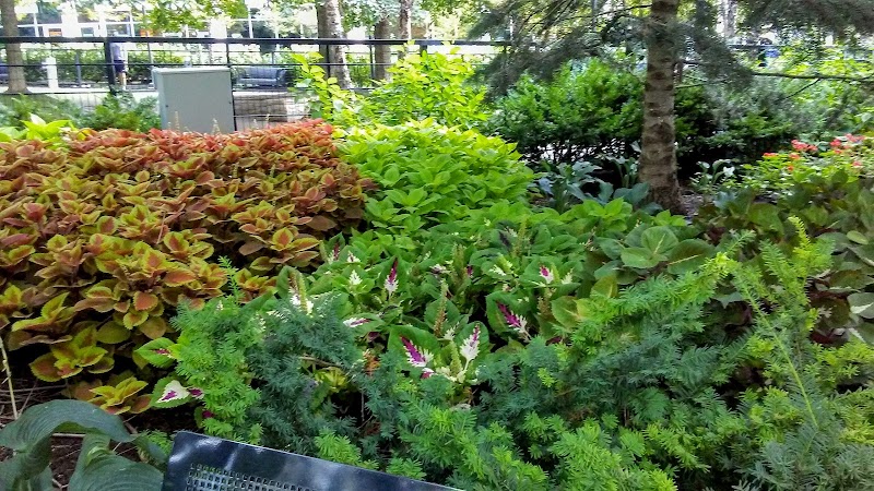 Lakeshore East Dog Park - Chicago, IL