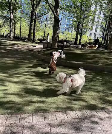 Lakeshore East Dog Park - Chicago, IL