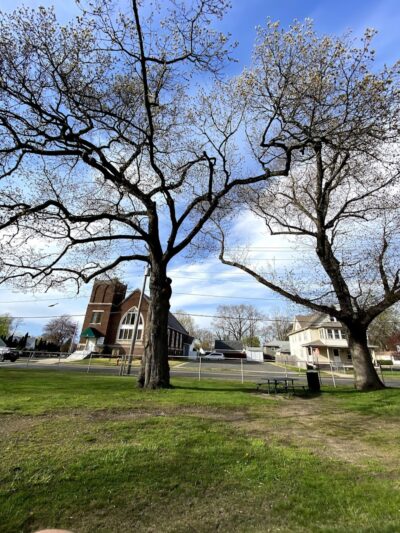 Dana Park - Chicopee, MA