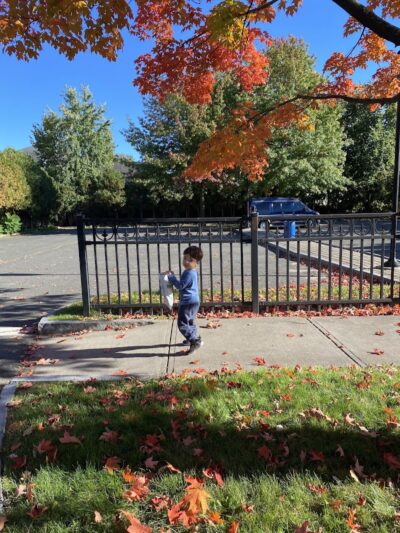 Lucy M. Wisniowski Memorial park - Chicopee, MA