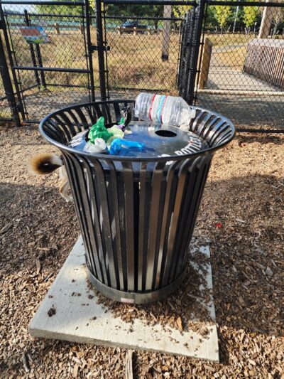 Service Dog Memorial Dog Park - Chicopee, MA