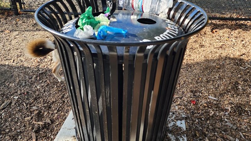 Service Dog Memorial Dog Park - Chicopee, MA