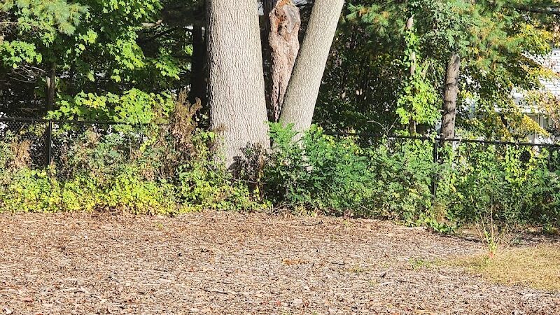 Service Dog Memorial Dog Park - Chicopee, MA