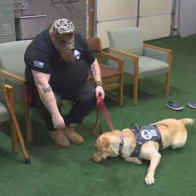 Chillicothe Park District Operations/Freedom Paws Service Dogs - Chillicothe, IL