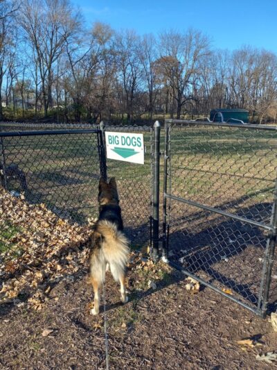 Walnut Dog Park - Chillicothe, IL
