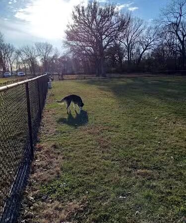 Walnut Dog Park - Chillicothe, IL