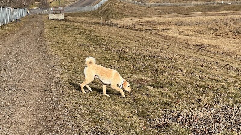 Chippewa Falls Happy Tails Dog Park - Chippewa Falls, WI