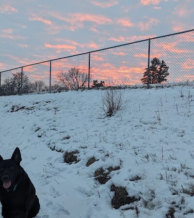 Chippewa Falls Happy Tails Dog Park - Chippewa Falls, WI