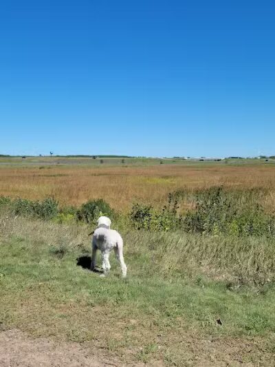 Chippewa Falls Happy Tails Dog Park - Chippewa Falls, WI