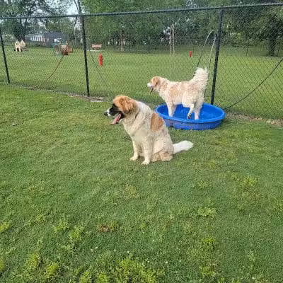 Cat Creek Dog Park - Claremore, OK