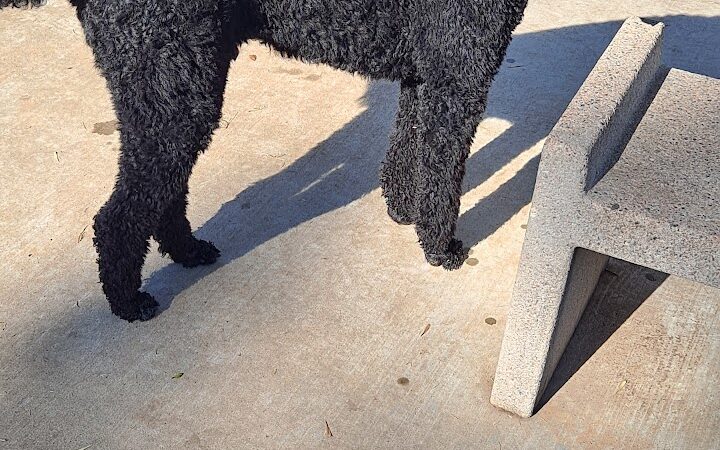 Cat Creek Dog Park - Claremore, OK