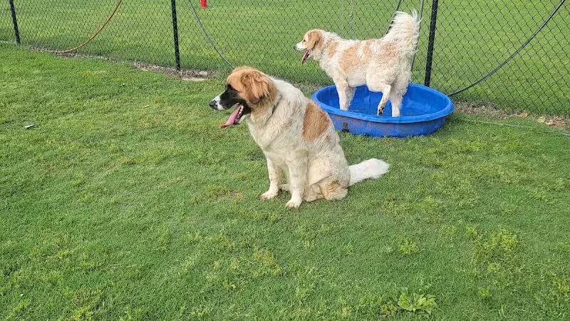 Cat Creek Dog Park - Claremore, OK