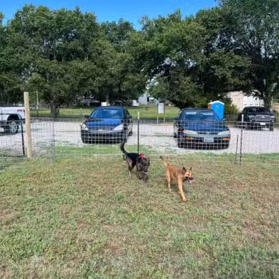 OutRun Dogs - Claremore, OK