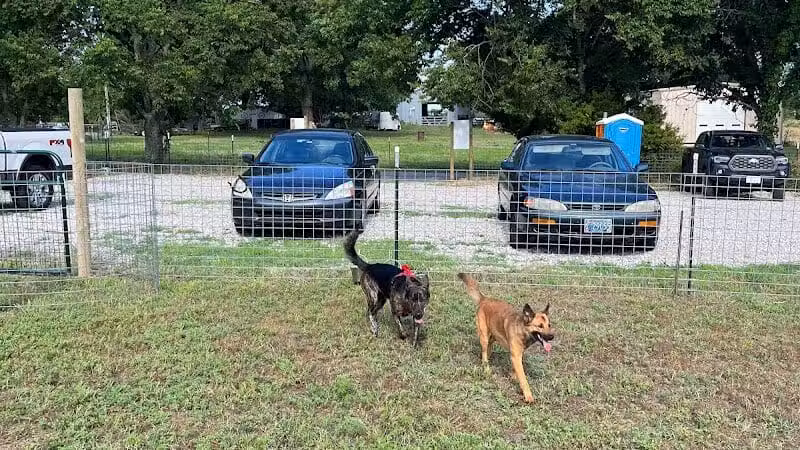 OutRun Dogs - Claremore, OK