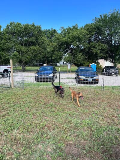 OutRun Dogs - Claremore, OK