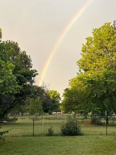 OutRun Dogs - Claremore, OK