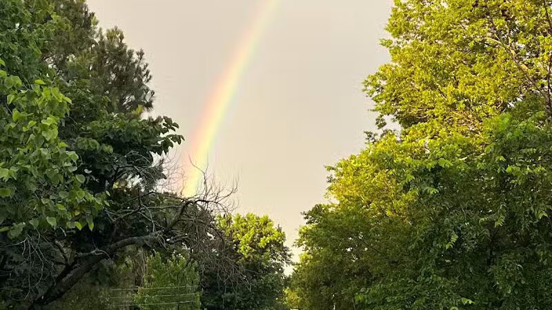 OutRun Dogs - Claremore, OK