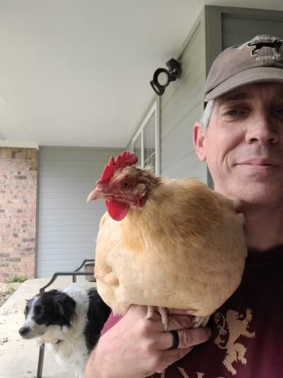 OutRun Dogs - Claremore, OK