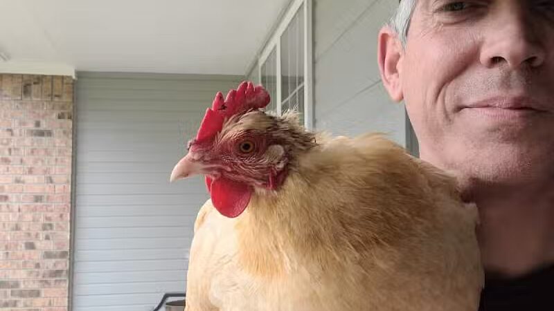 OutRun Dogs - Claremore, OK