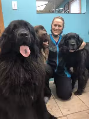 Pampered Paws-N-Claws - Claridge, PA