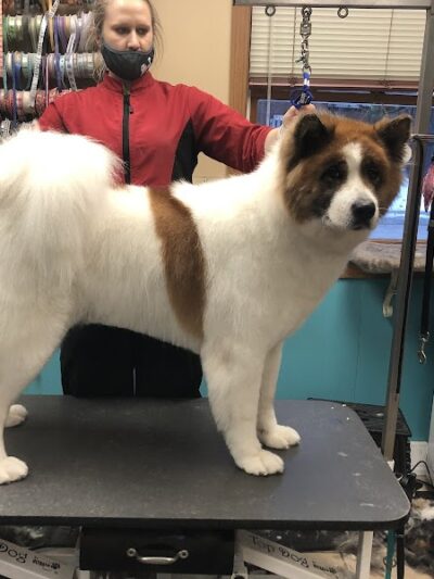 Pampered Paws-N-Claws - Claridge, PA