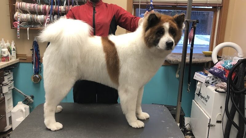 Pampered Paws-N-Claws - Claridge, PA