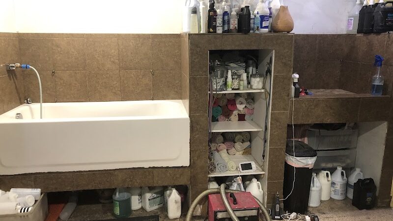 Pampered Paws-N-Claws - Claridge, PA