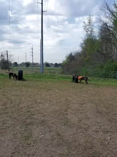 Fort Campbell Dog Park (Military Base) - Clarksville, KY