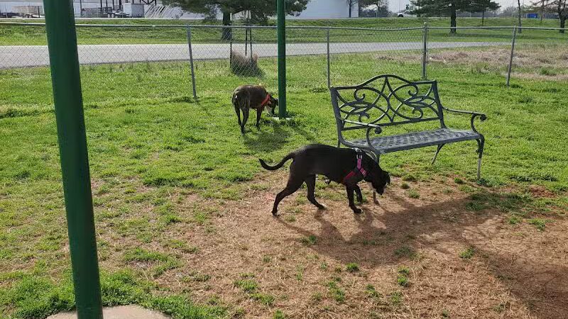 Fort Campbell Dog Park (Military Base) - Clarksville, KY