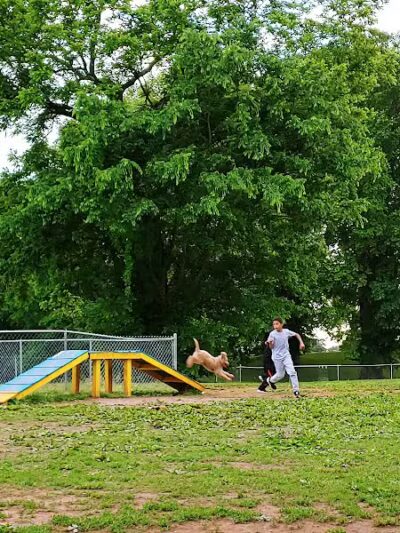 Fort Campbell Dog Park (Military Base) - Clarksville, KY