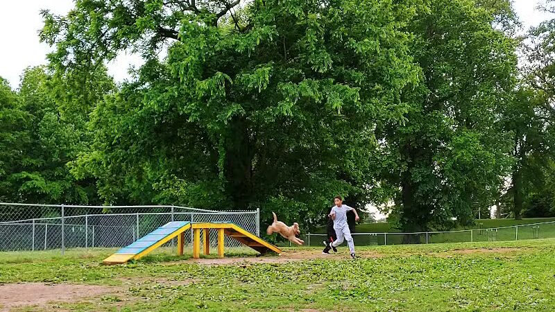 Fort Campbell Dog Park (Military Base) - Clarksville, KY