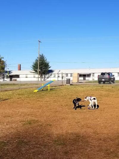 Fort Campbell Dog Park (Military Base) - Clarksville, KY