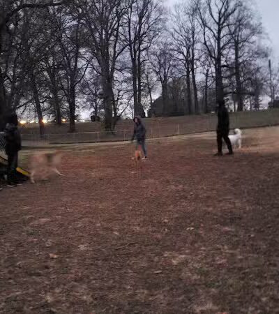 Fort Campbell Dog Park (Military Base) - Clarksville, KY