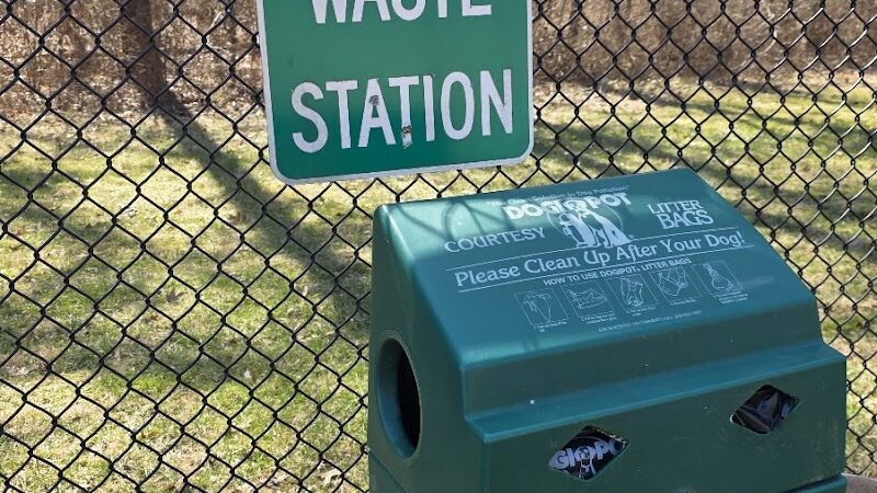 Tanglewood Dog Park - Clemmons, NC