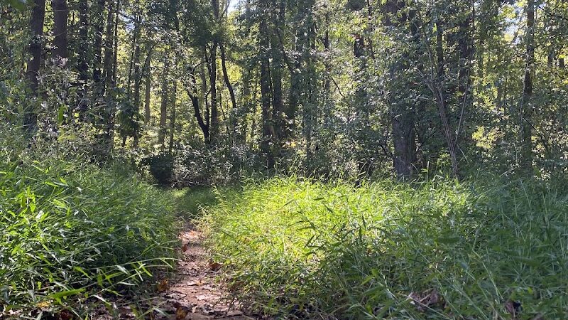 Tanglewood Dog Park - Clemmons, NC
