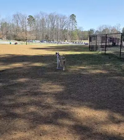 Tanglewood Dog Park - Clemmons, NC