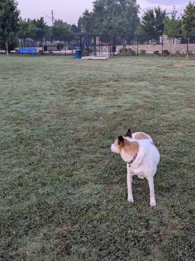 Avery Johnson Park - Cleveland, TN