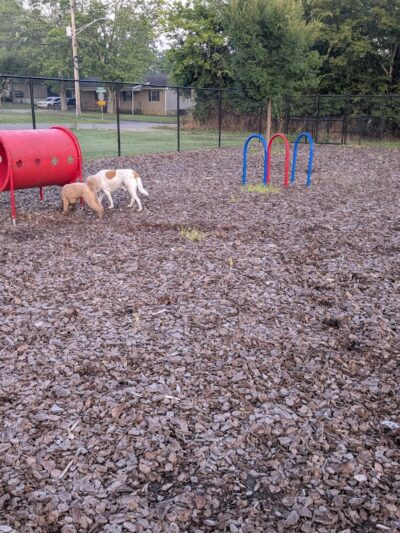 Avery Johnson Park - Cleveland, TN