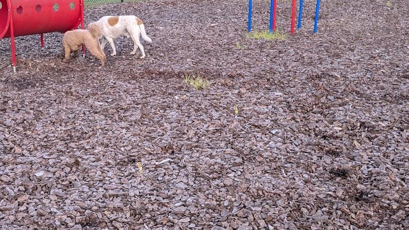 Avery Johnson Park - Cleveland, TN