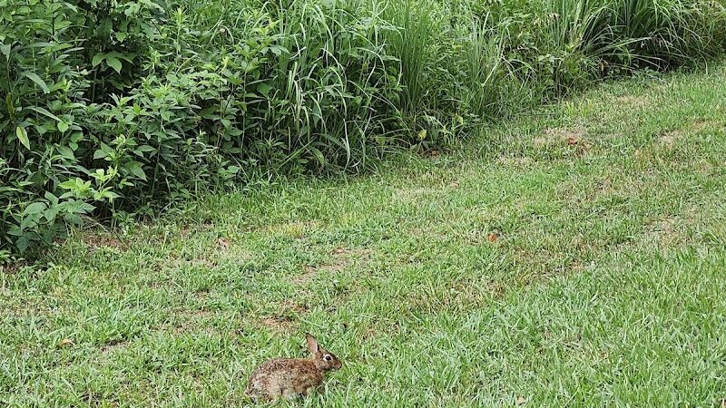Freewill - Candies Creek Walking Trail - Cleveland, TN