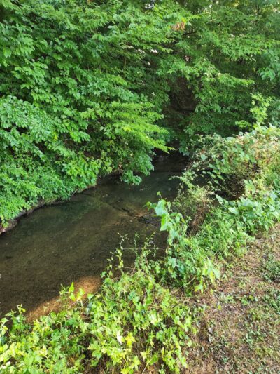 Freewill - Candies Creek Walking Trail - Cleveland, TN