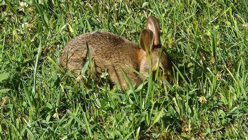 Freewill - Candies Creek Walking Trail - Cleveland, TN