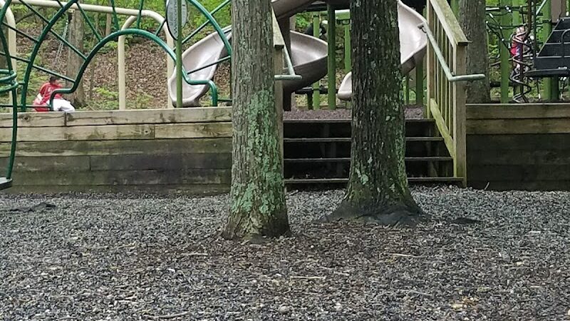Tinsley Park Dog Park - Cleveland, TN