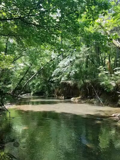 Tinsley Park Dog Park - Cleveland, TN