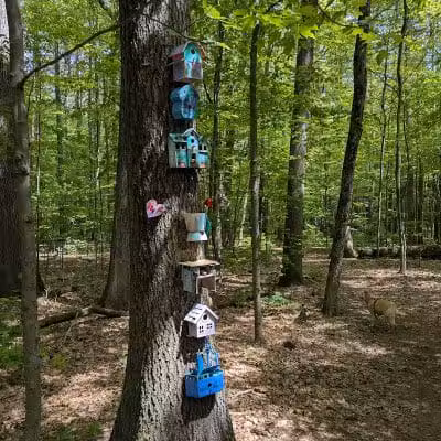 Kinns Road Park - Clifton Park, NY