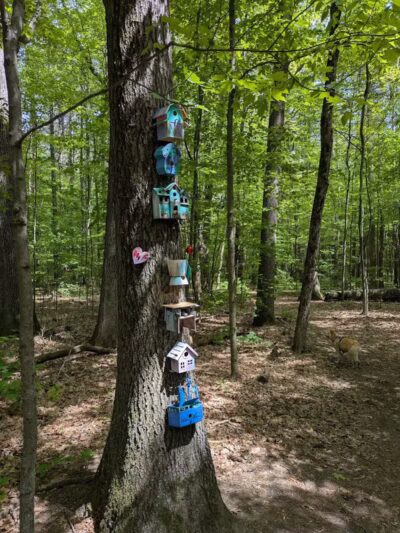 Kinns Road Park - Clifton Park, NY