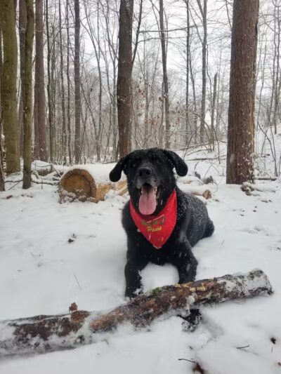 Kinns Road Park - Clifton Park, NY