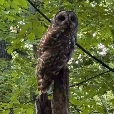 Kinns Road Park - Clifton Park, NY