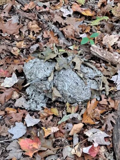 Kinns Road Park - Clifton Park, NY