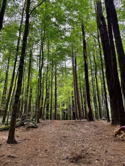 Kinns Road Park - Clifton Park, NY